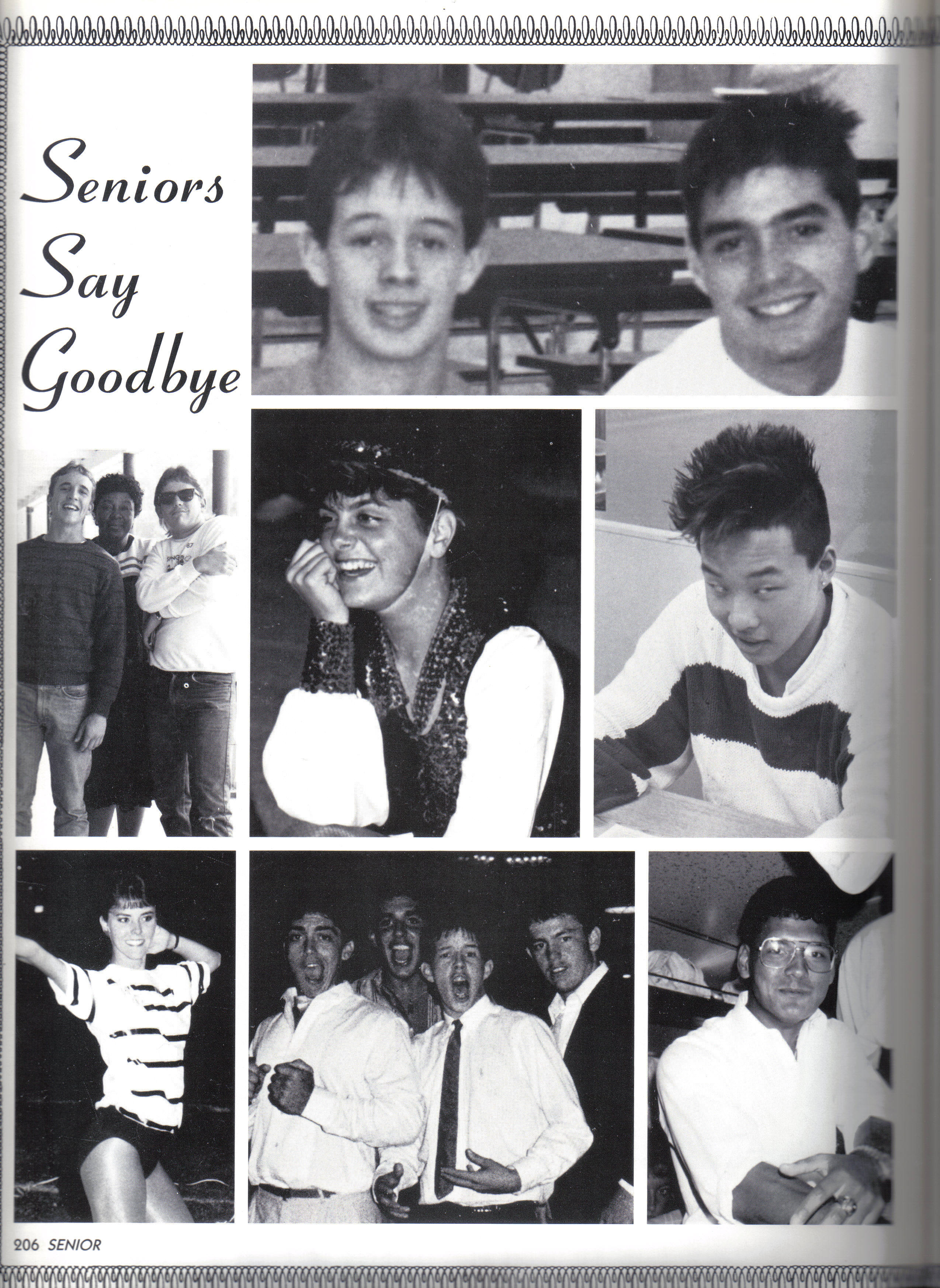 Page 206.jpg 2683.2K